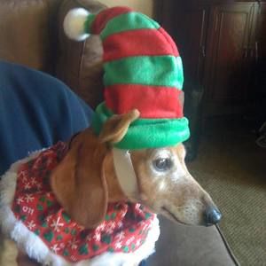 Meet your Posher, Daniel